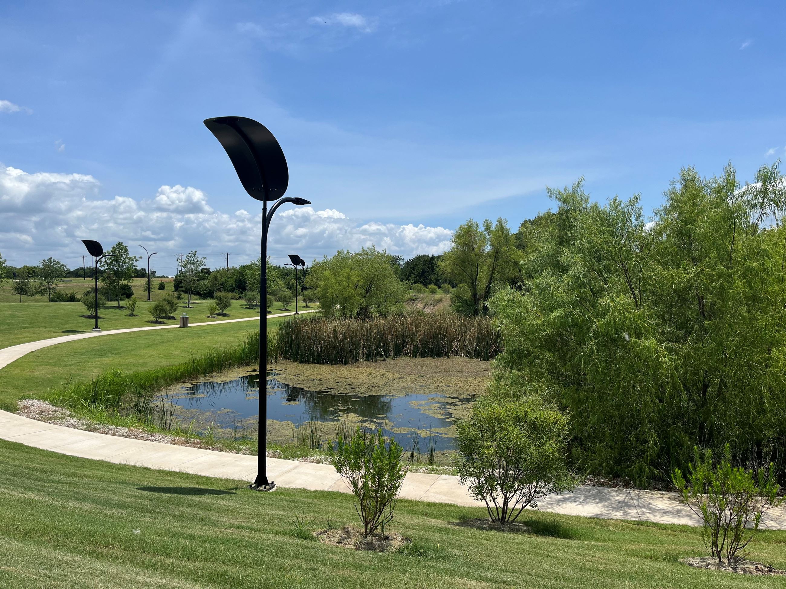 Turf Installation in Princeton, TX
