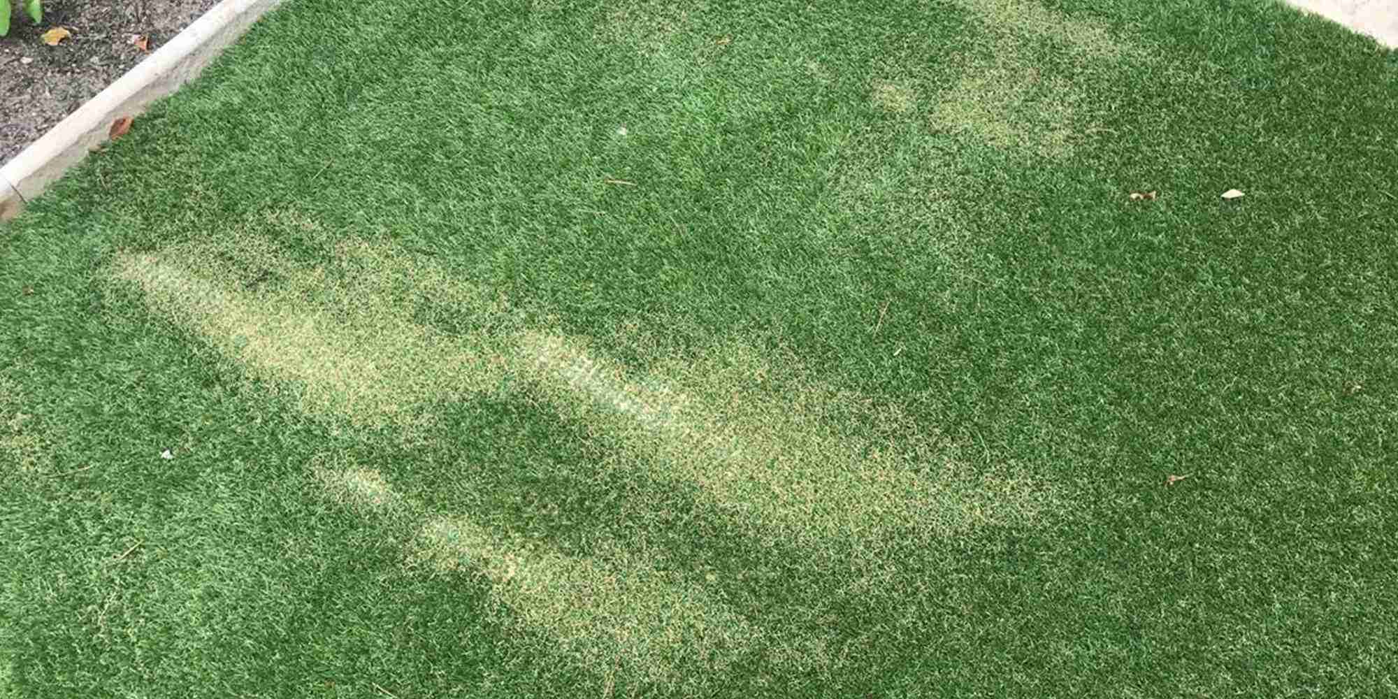 Turf Seam Repair